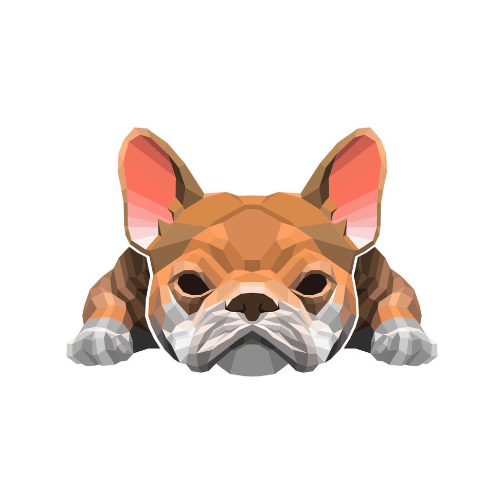 franse buldog lowpoly stijl vector illustratie vector design