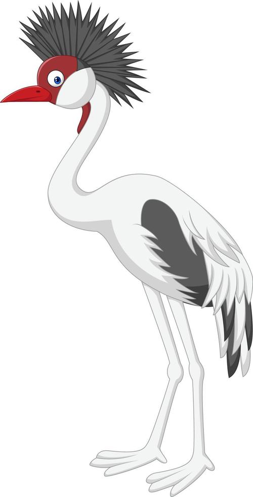 cartoon gekroonde kraanvogel op witte achtergrond vector