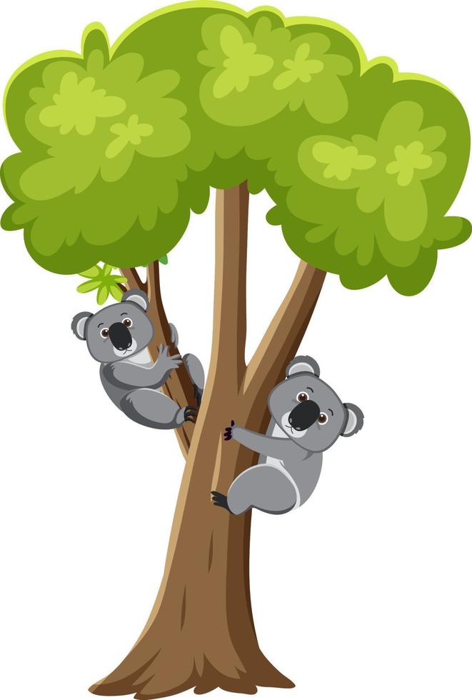 koala's op boom stripfiguur vector