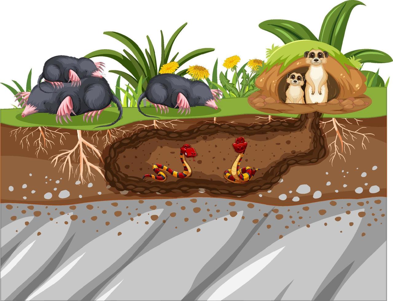ondergronds dierenhol in cartoonstijl vector