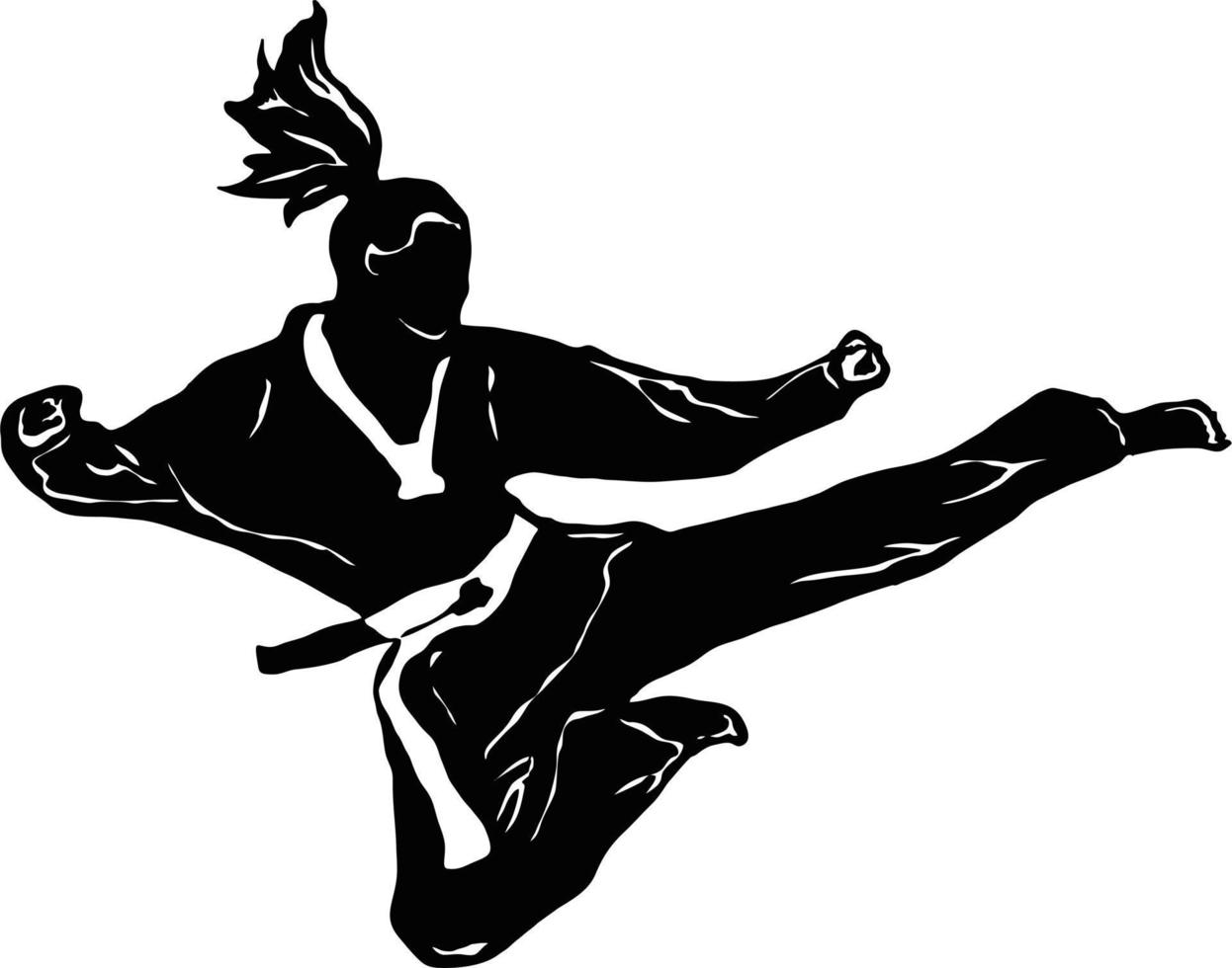 vector karate taekwondo kick