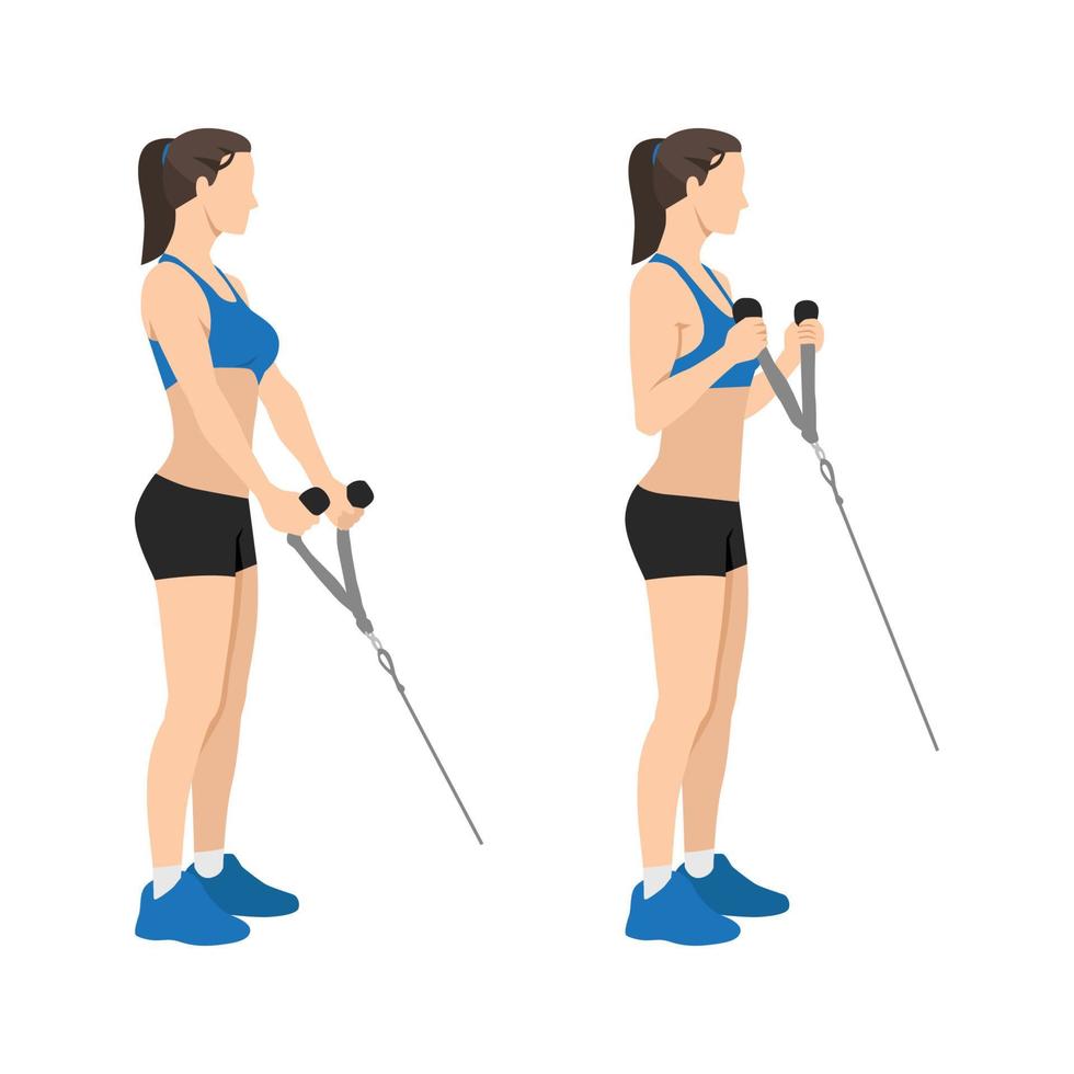 vrouw doet kabel hamer biceps krullen oefening. arm training. platte vectorillustratie van een fitness man geïsoleerd op een witte achtergrond vector