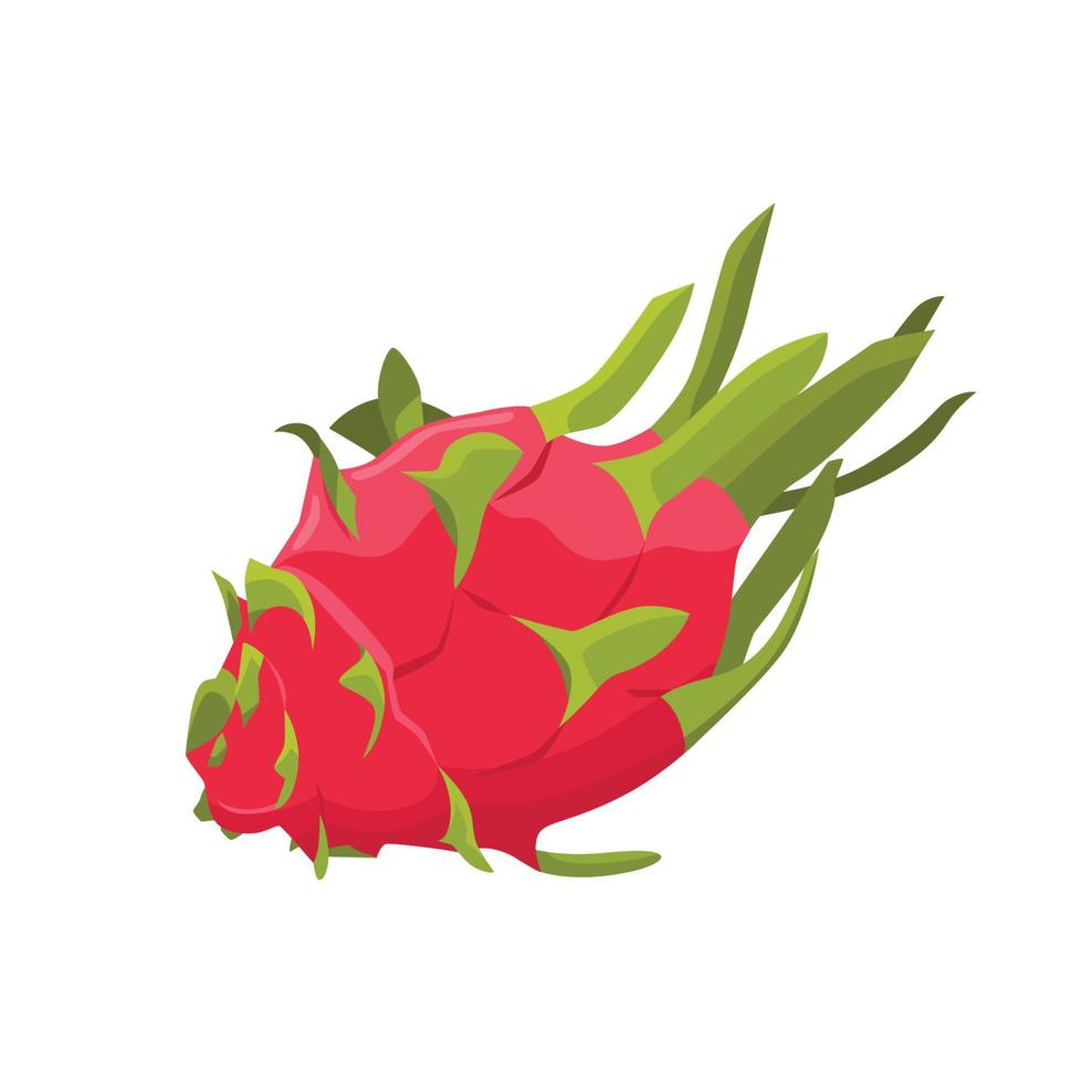 platte vector van dragon fruit of pitaya geïsoleerd op een witte achtergrond. platte illustratie grafisch pictogram