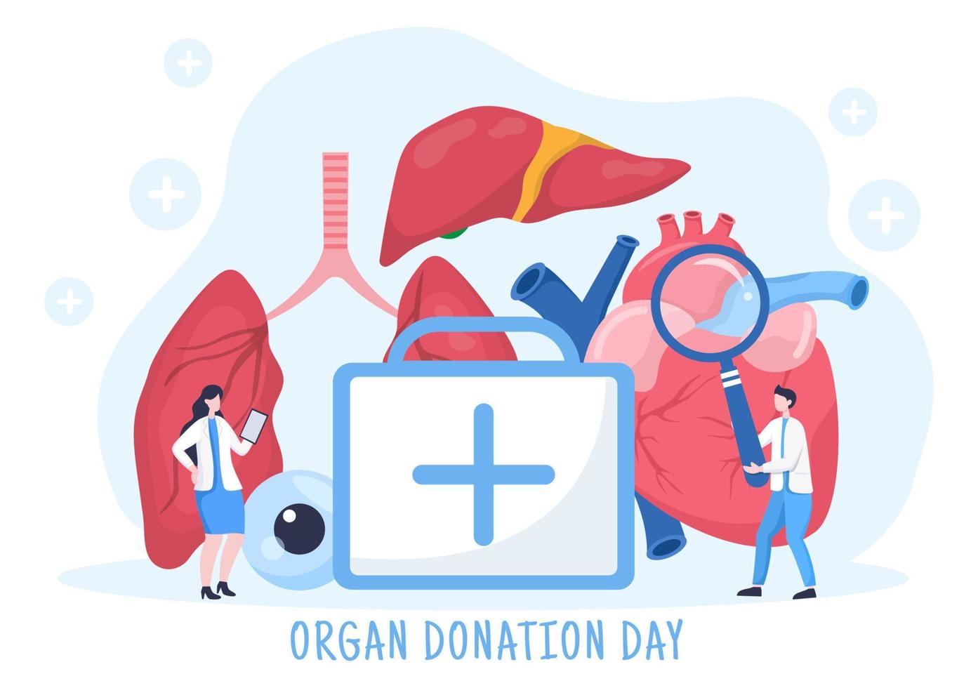 wereld orgaandonatiedag met nieren, hart, longen, ogen of lever voor transplantatie, het redden van levens en gezondheidszorg in platte cartoonillustratie vector