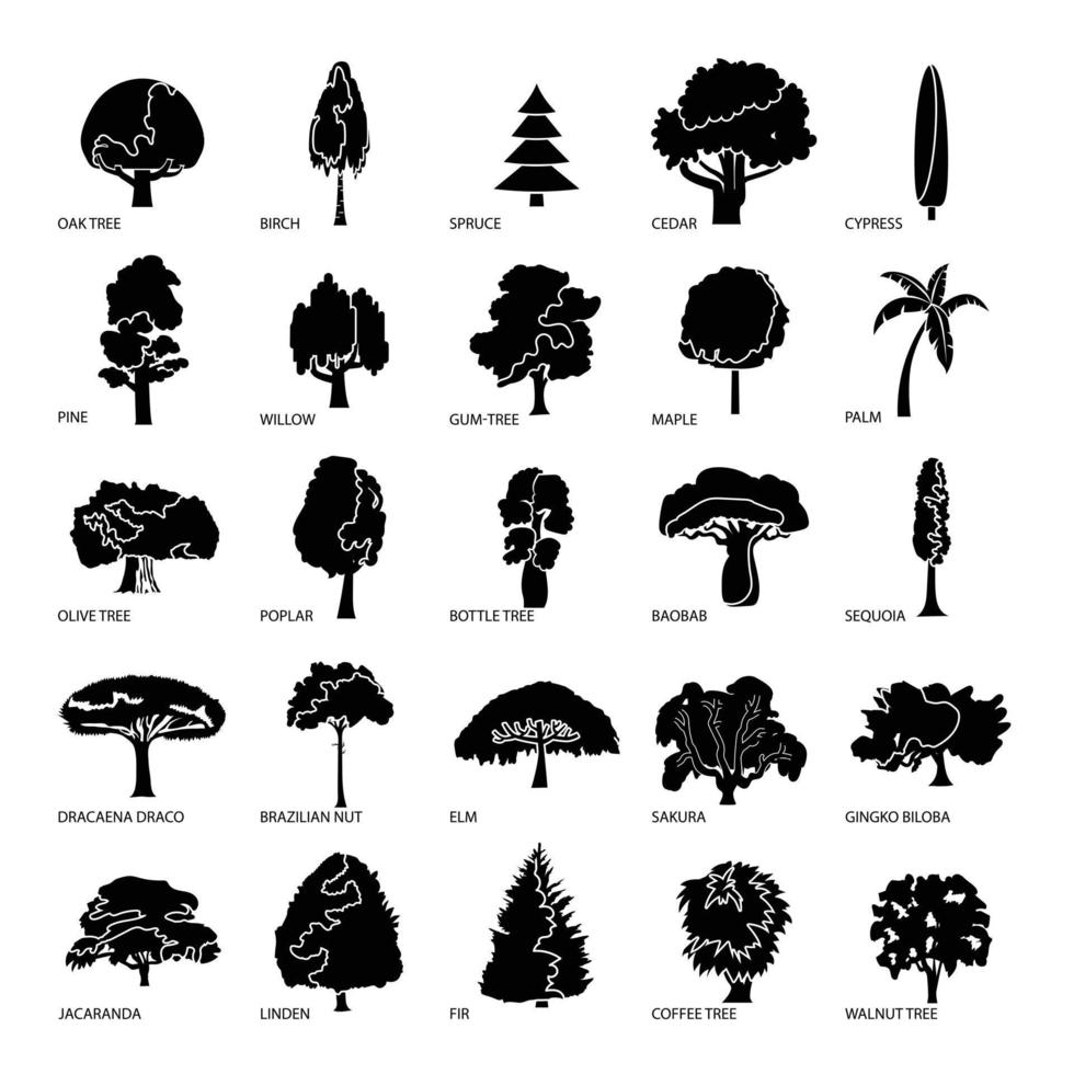 boom soorten iconen set, eenvoudige stijl vector