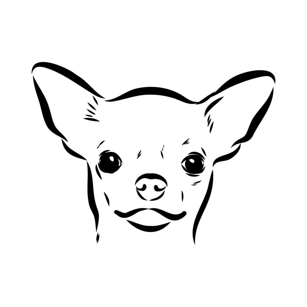 chihuahua vector schets