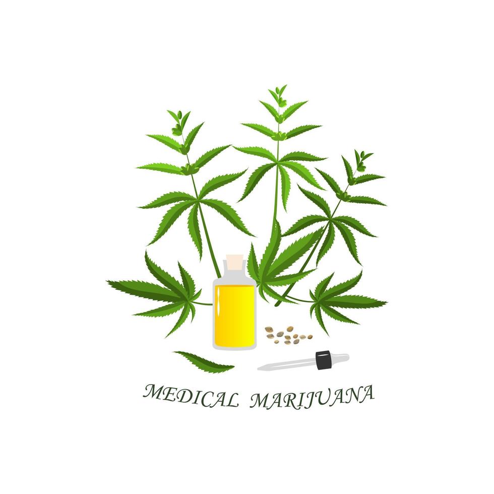 cannabisplant. vector