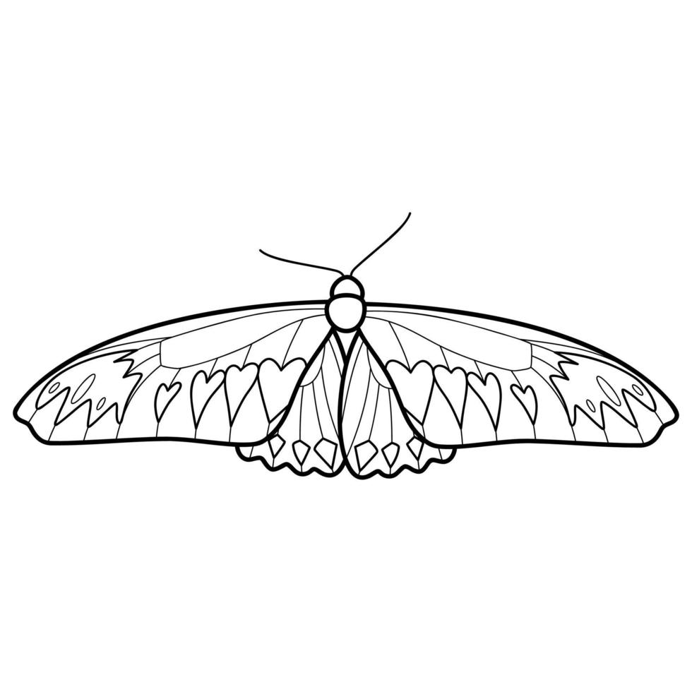 kleurboek of pagina voor kinderen. vlinder zwart-wit vector