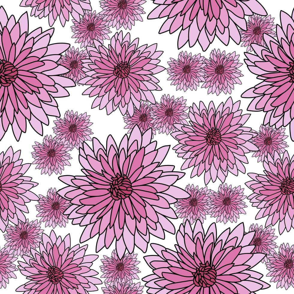 naadloos patroon van roze chrysanten op een witte achtergrond, helder bloeiend met veel kleine willekeurig gerangschikte bloemblaadjes vector