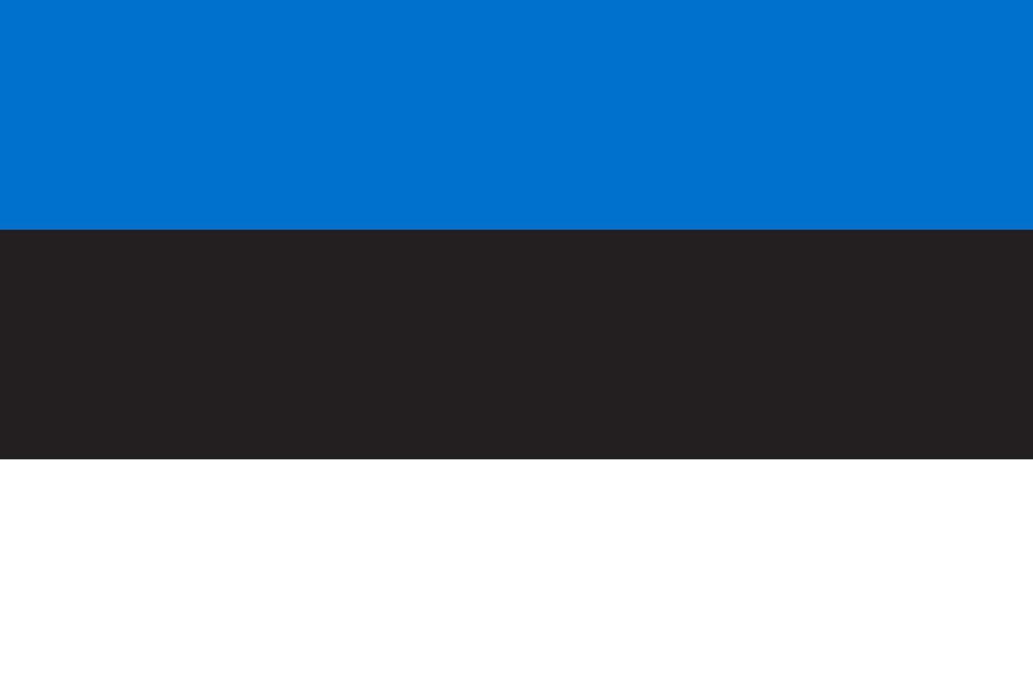 vlakke afbeelding van de vlag van Estland vector
