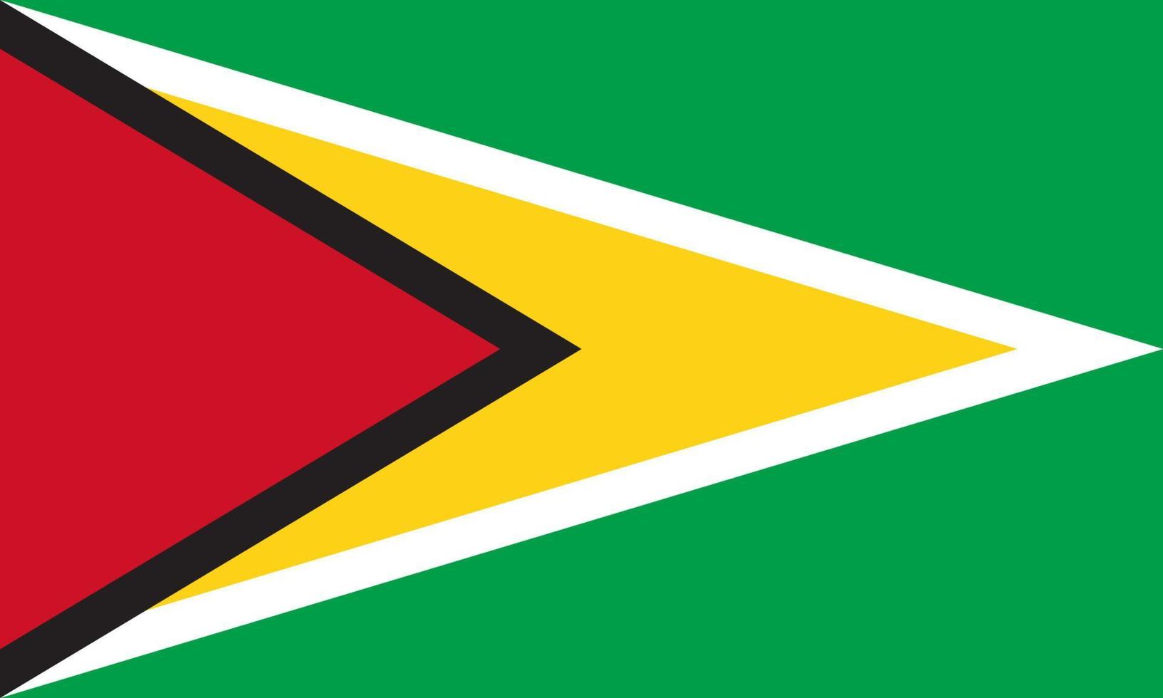 vlakke afbeelding van de vlag van Guyana vector