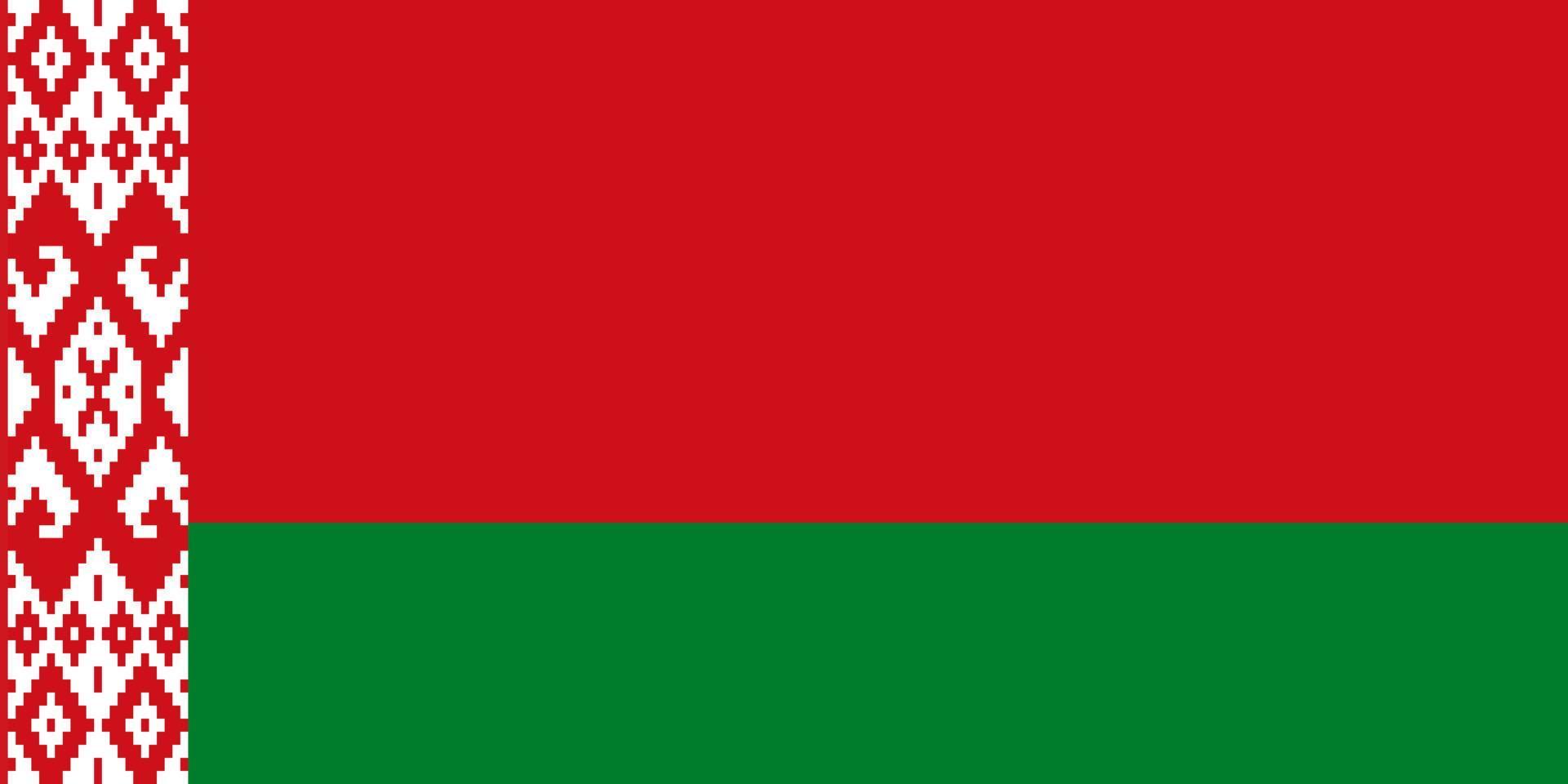 vlakke afbeelding van de vlag van Wit-Rusland vector