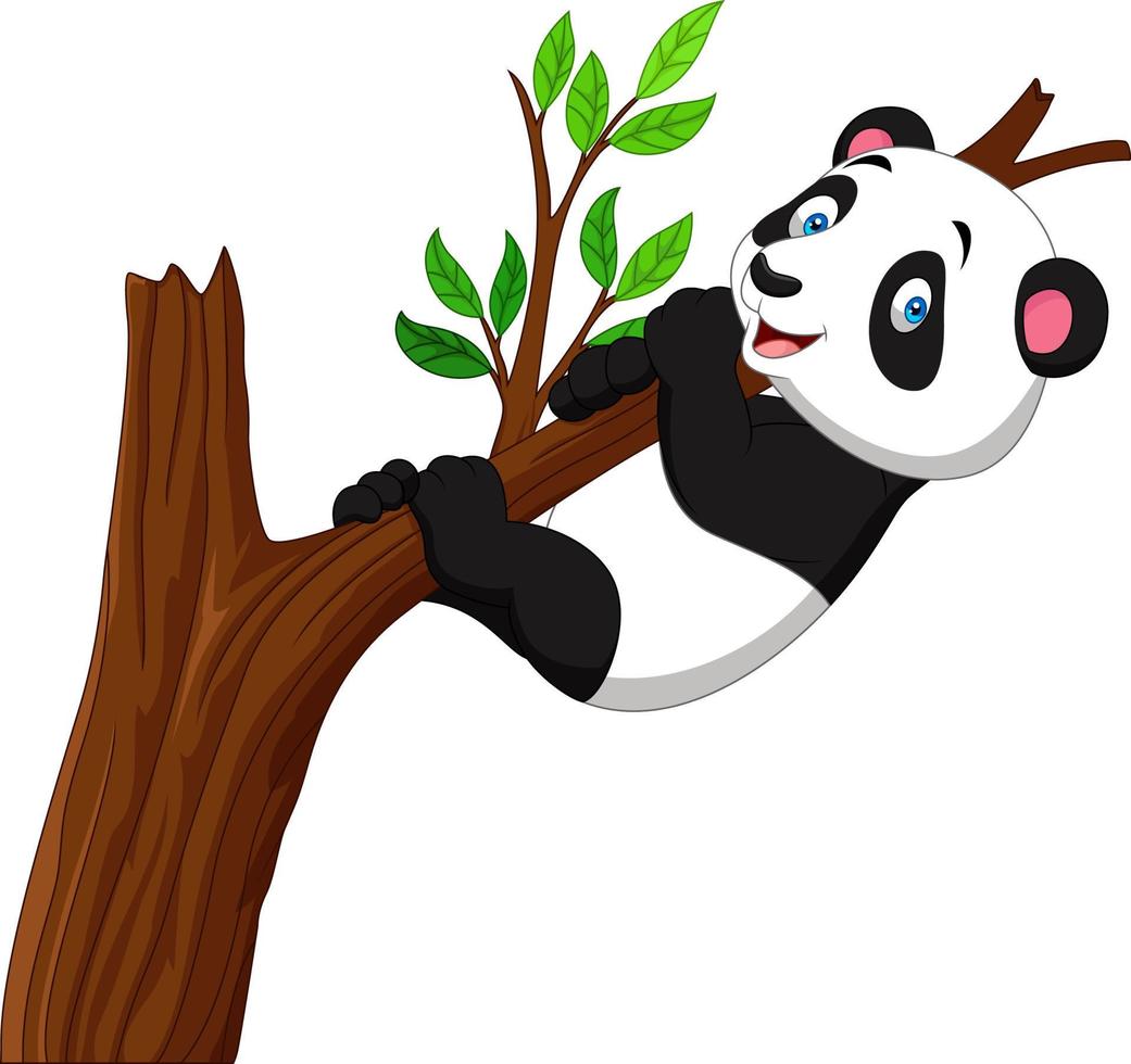 cartoon panda klimmen boom vector