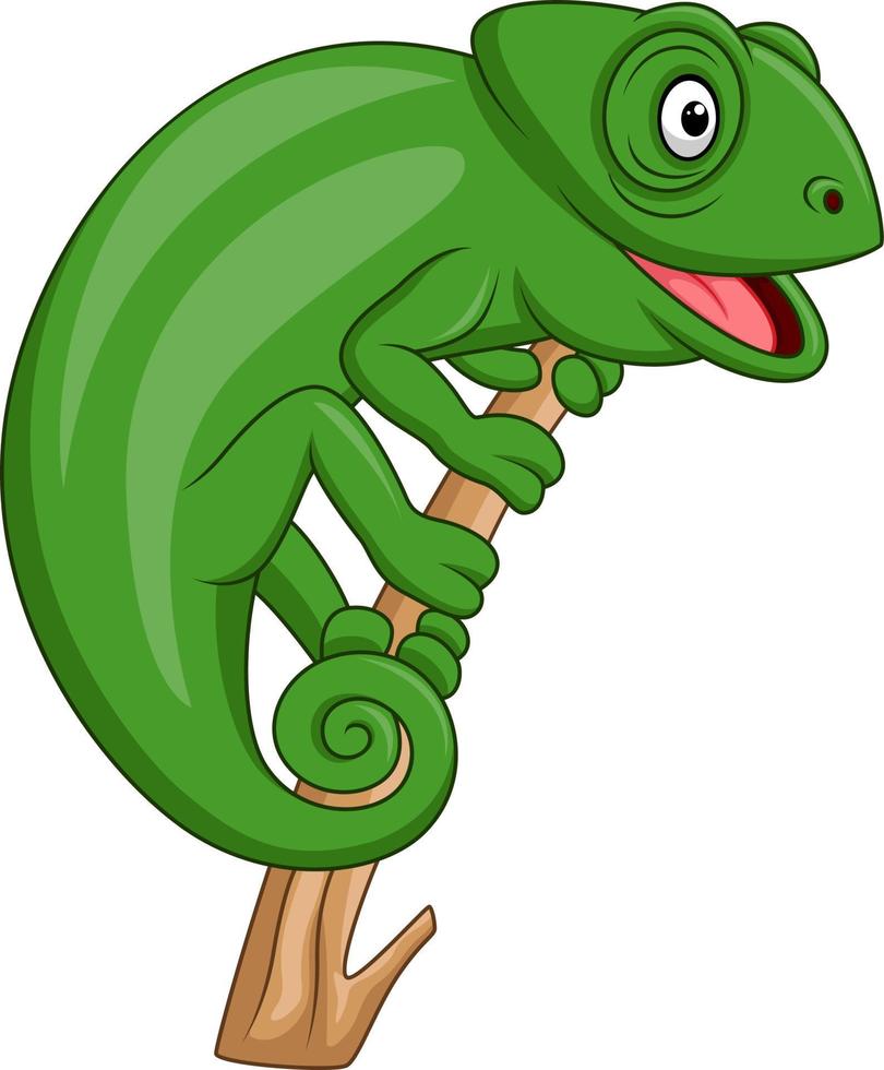 cartoon groene kameleon vector