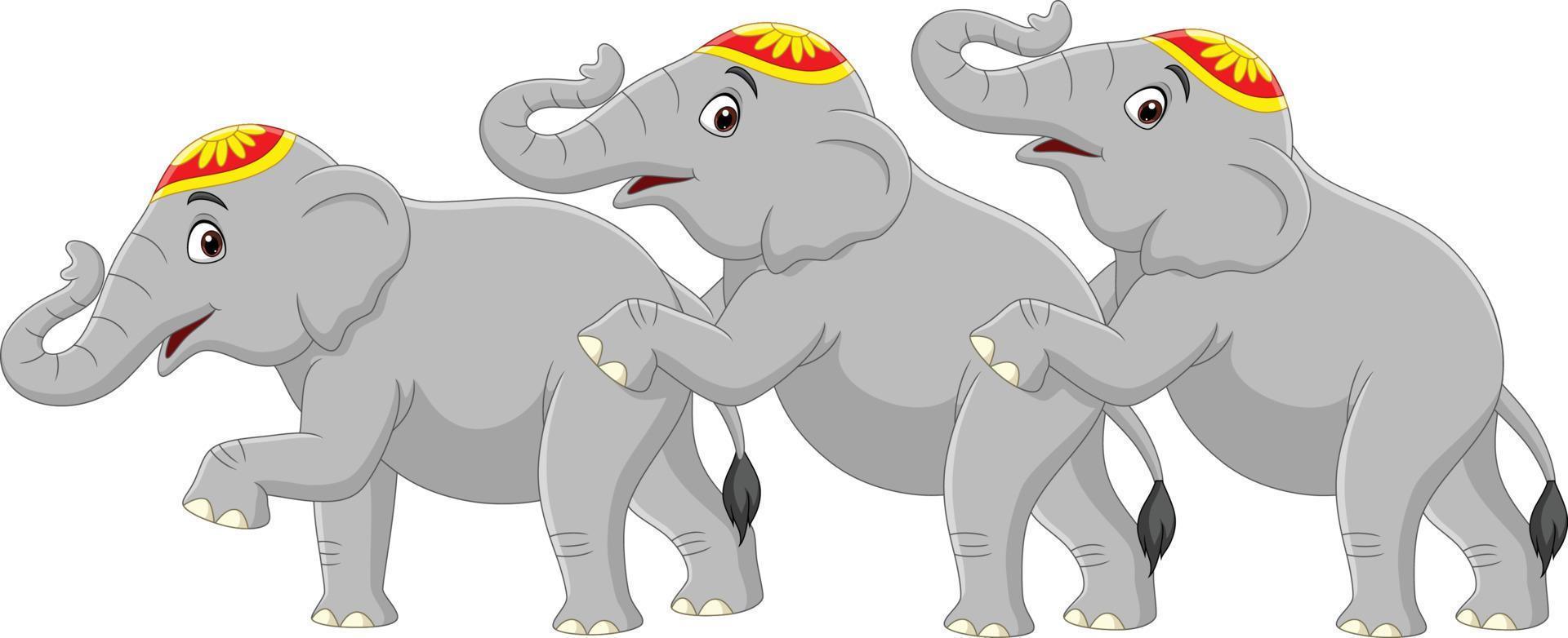 drie schattige olifant circus cartoon vector