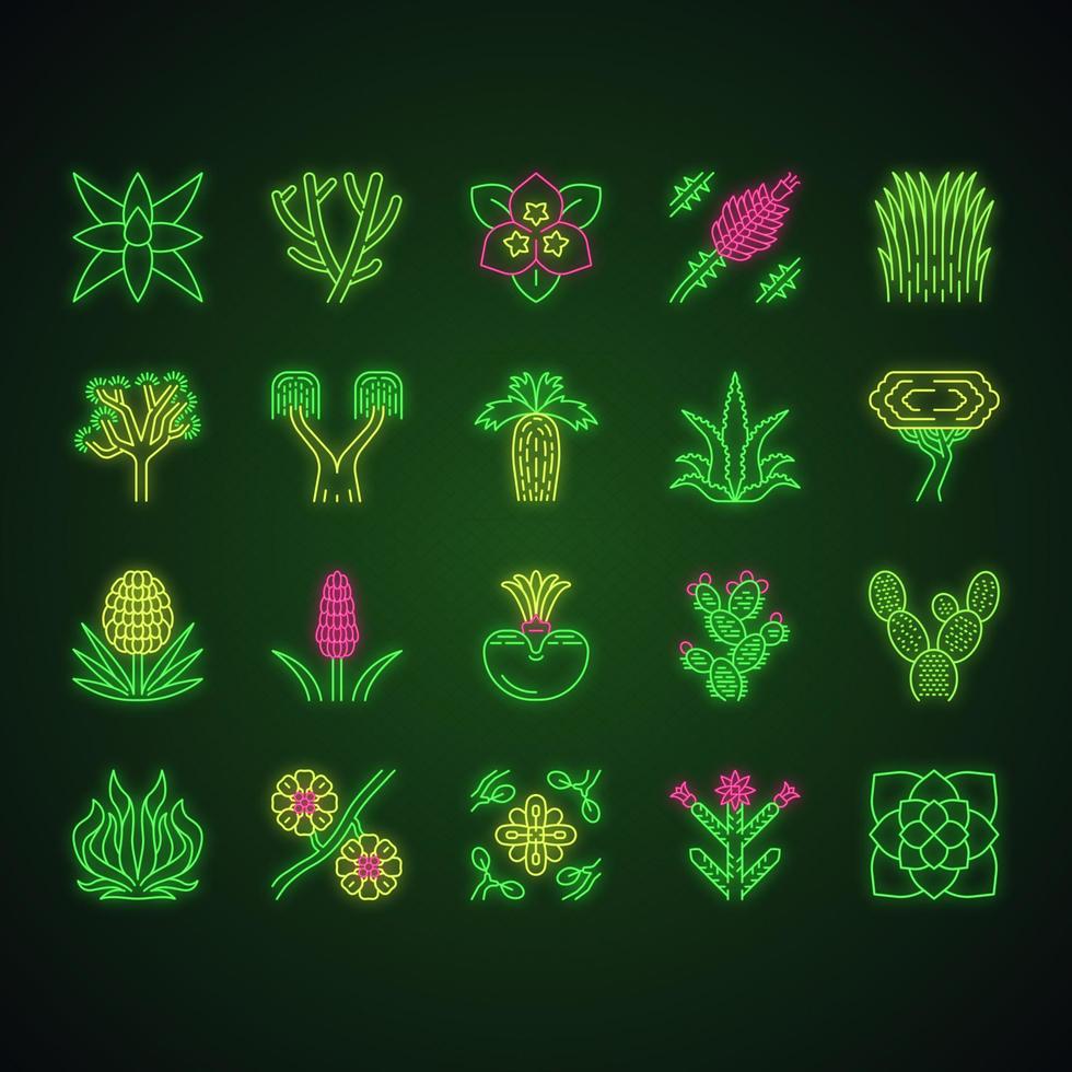 woestijnplanten neonlicht iconen set. exotische flora. californië woestijncactussen, gras en bomen. Amerikaanse en Mexicaanse vetplanten, palmen. gloeiende borden. geïsoleerde vectorillustraties vector