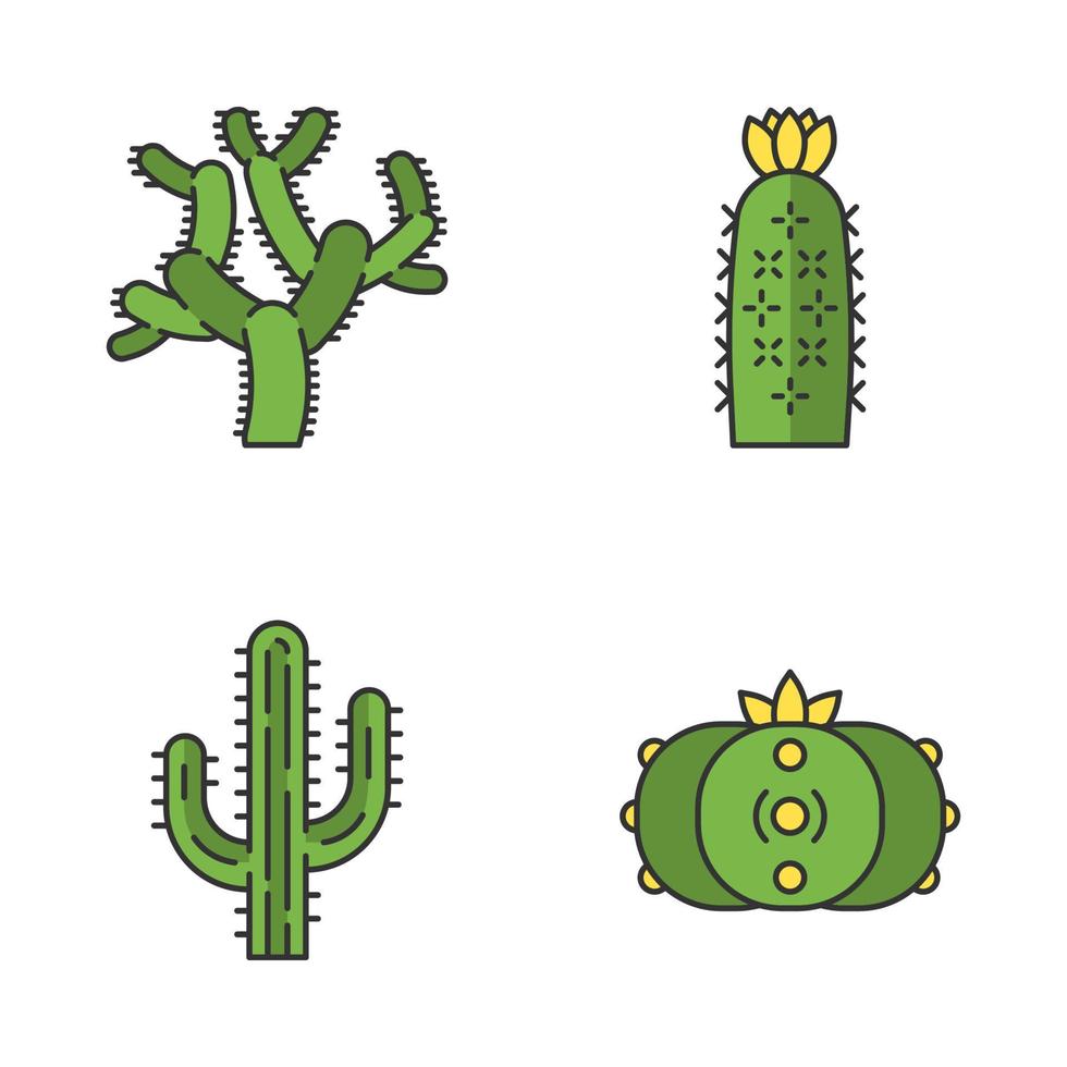 wilde cactussen kleur pictogrammen instellen. Amerikaanse tropische planten. vetplanten. saguaro, peyote, egel, teddybeercactussen. geïsoleerde vectorillustraties vector