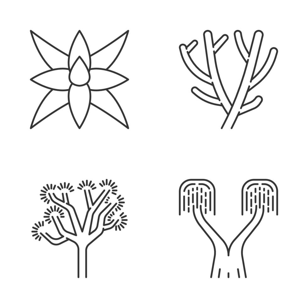 woestijnplanten lineaire pictogrammen instellen. exotische flora. fox tale agave, potloodcactus, joshua-boom, paardenstaartpalm. dunne lijn contour symbolen. geïsoleerde vectoroverzichtsillustraties. bewerkbare streek vector