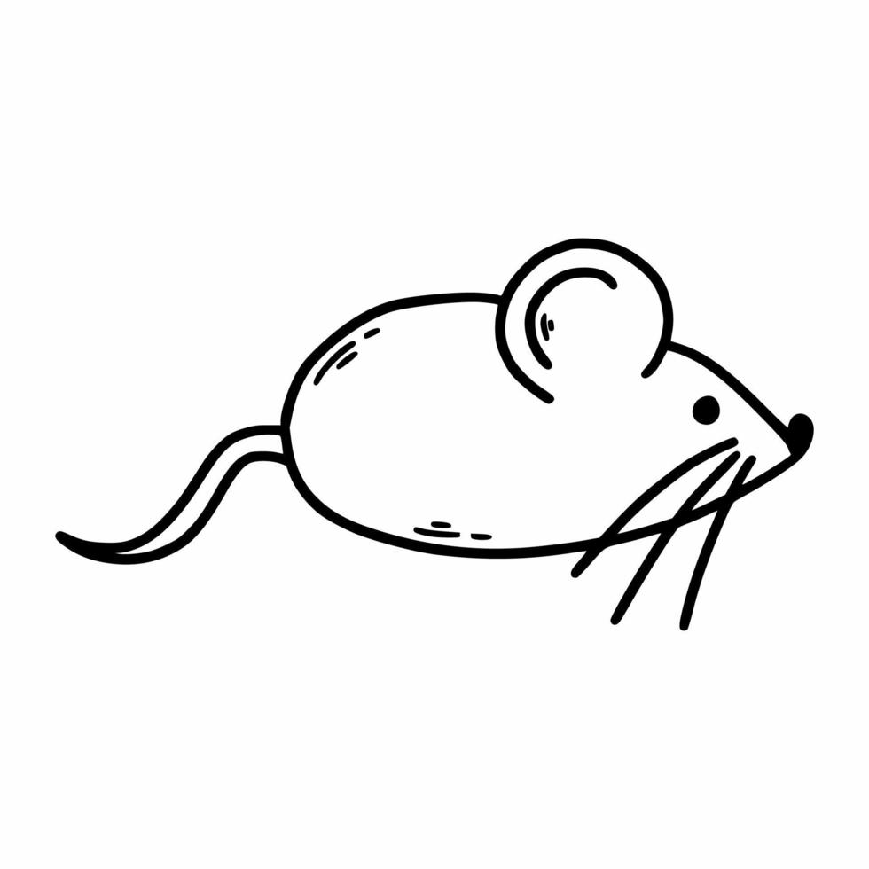 schattige muis op witte achtergrond. vectorkrabbelillustratie. kleurboek voor kinderen. vector