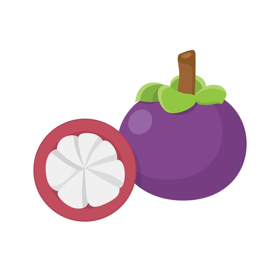 platte vector van mangosteen geïsoleerd op een witte achtergrond. platte illustratie grafisch pictogram