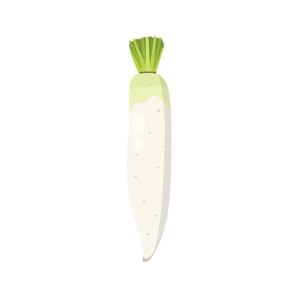 platte vector van daikon radijs geïsoleerd op een witte achtergrond. platte illustratie grafisch pictogram