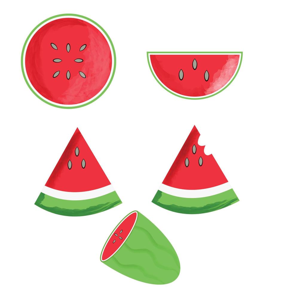 verse en sappige hele watermeloenen en plakjes vector