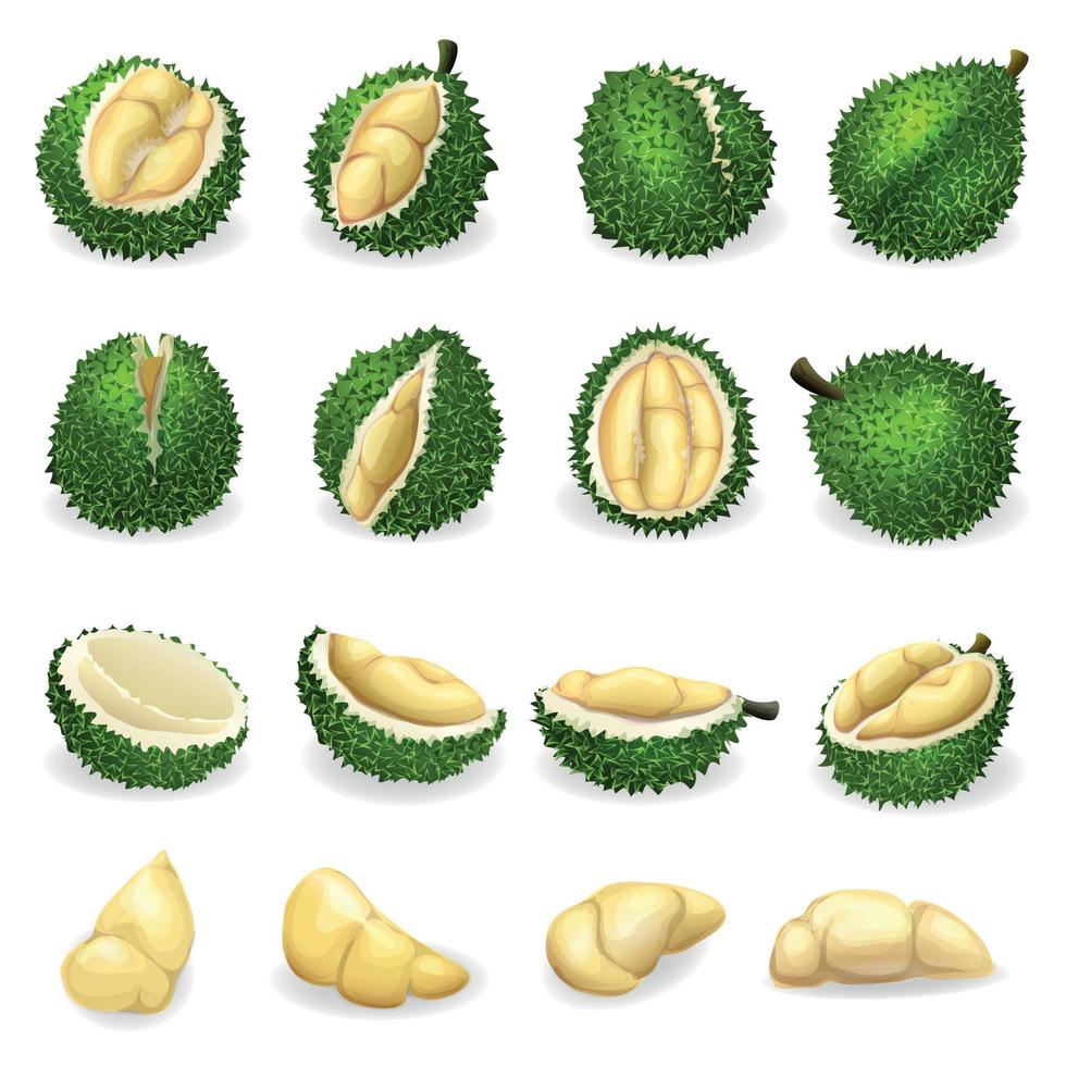 durian iconen set, cartoon stijl vector