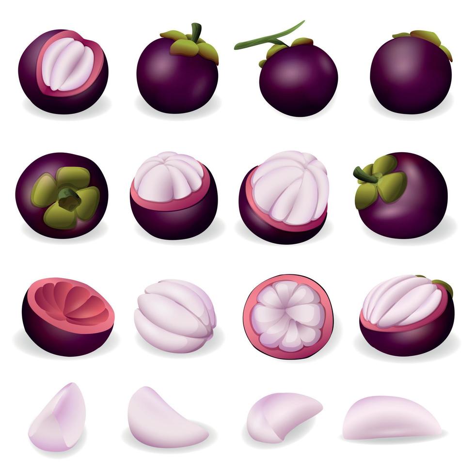 mangosteen pictogram, cartoon stijl vector