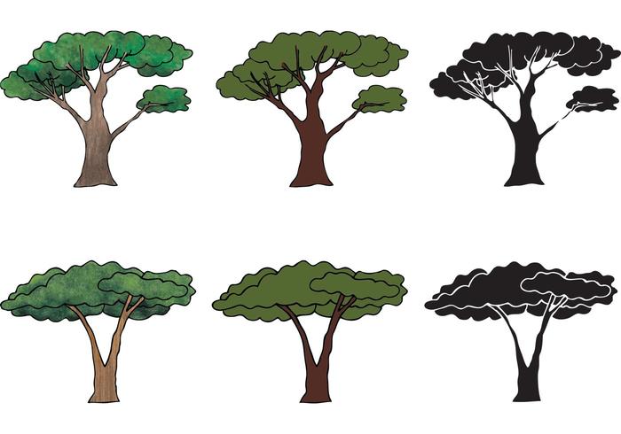 Gratis Acacia Tree Vector Series