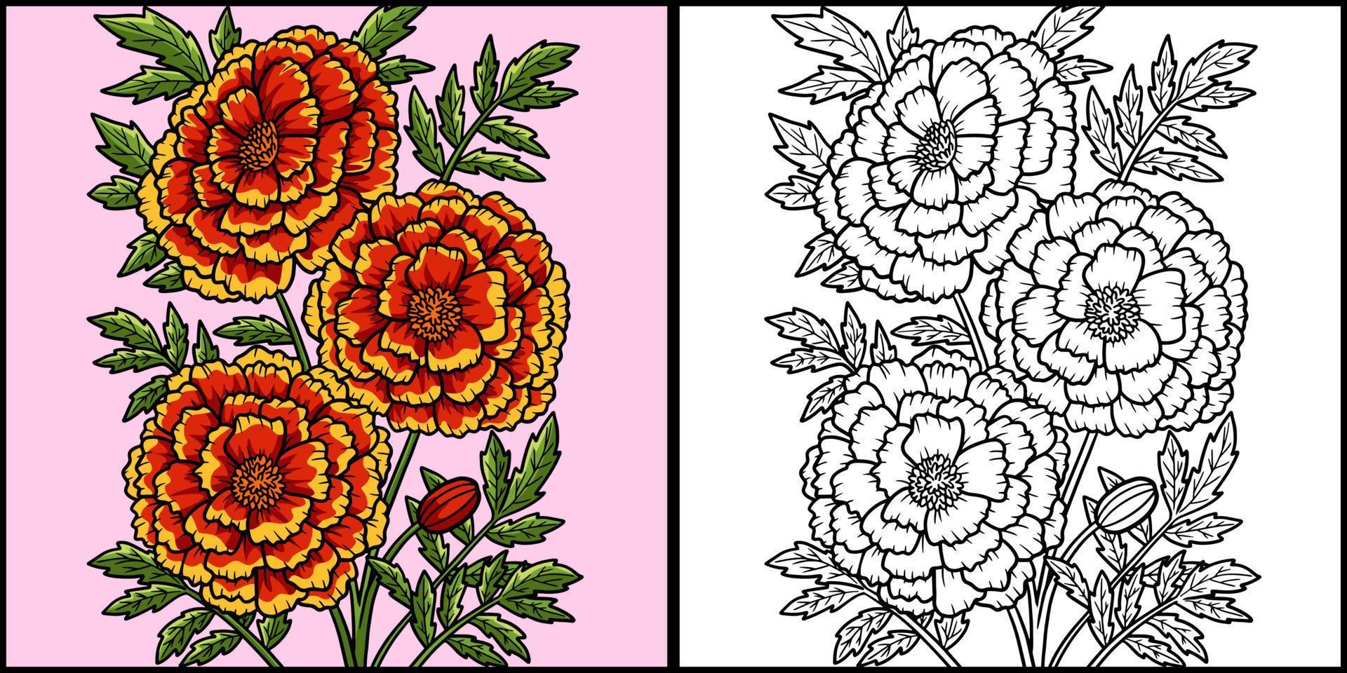 goudsbloem bloem kleuren gekleurde afbeelding vector