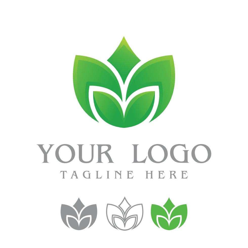 blad logo ontwerpen vector