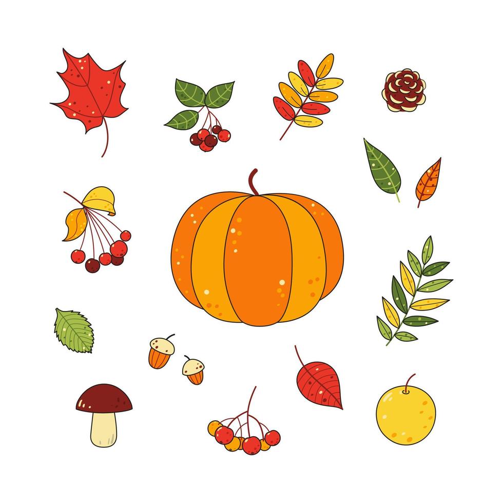 herfstset van veelkleurige bladeren, bessen, takken, pompoen vector