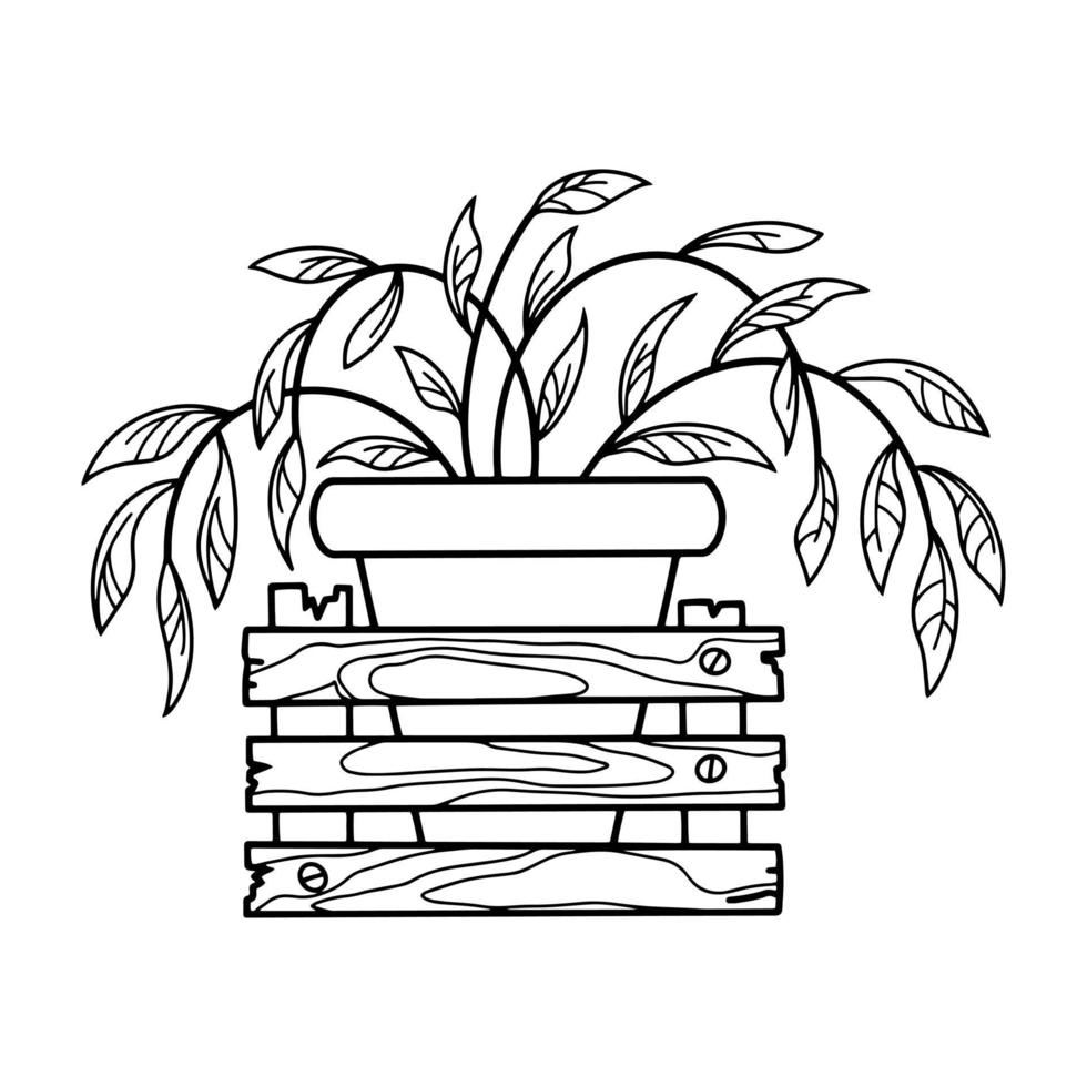 kamerplant in een keramische pot, houten buitendoos, monochrome vectorillustratie in cartoonstijl op een witte achtergrond vector