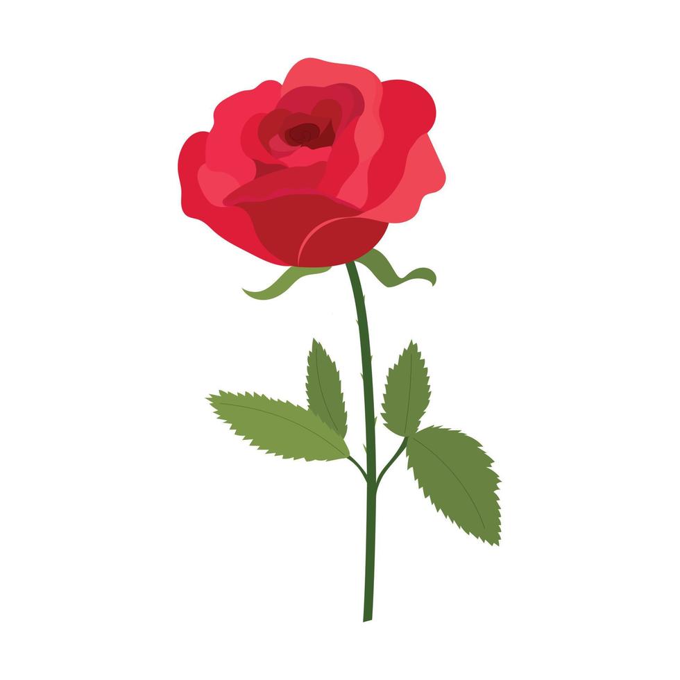 rode roos geïsoleerd op een witte achtergrond vector