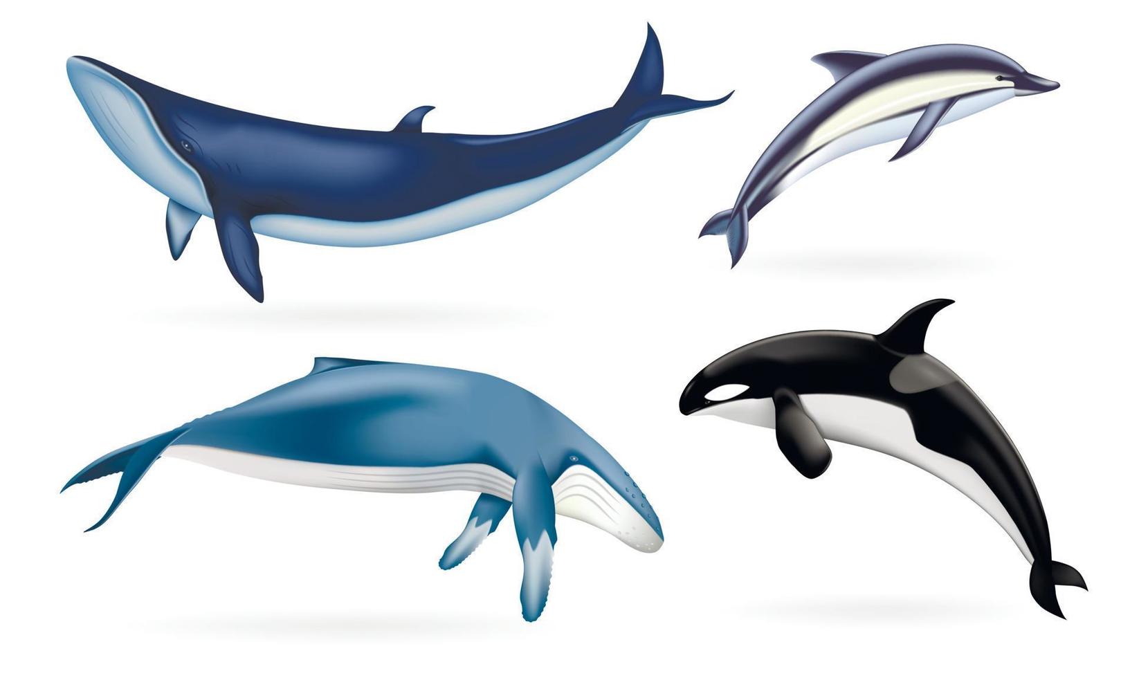 walvis iconen set, realistische stijl vector