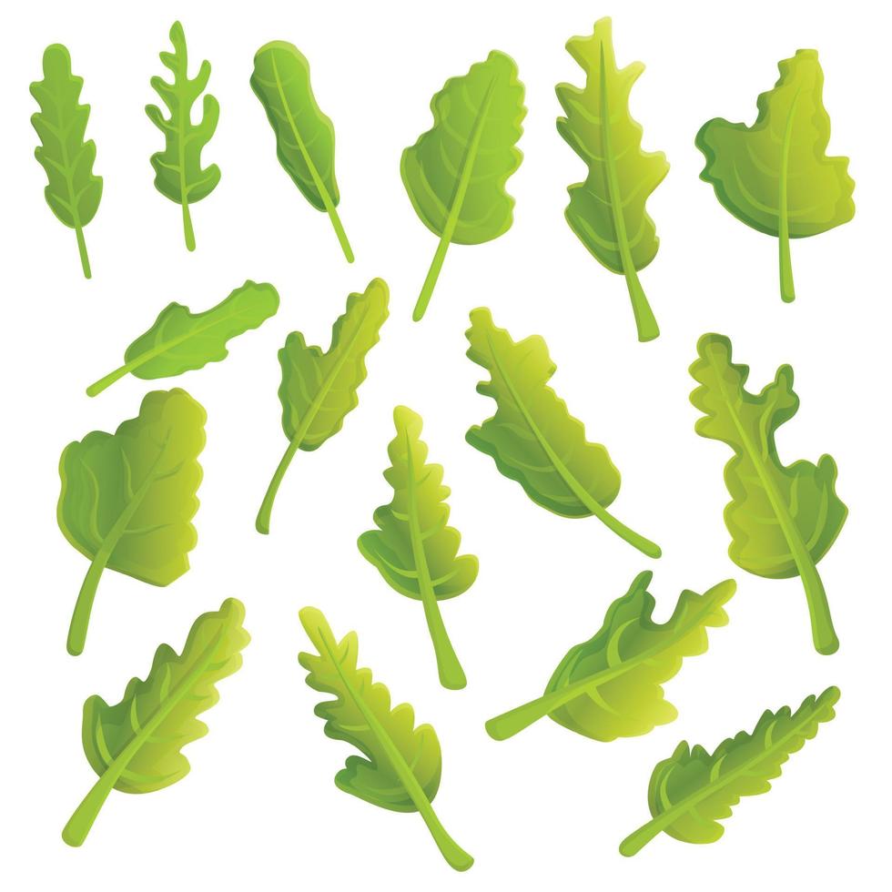 rucola iconen set, cartoon stijl vector