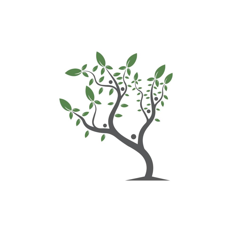 boom vector, met de hand getekend, illustratie van olijfboom vector ontwerpsjabloon