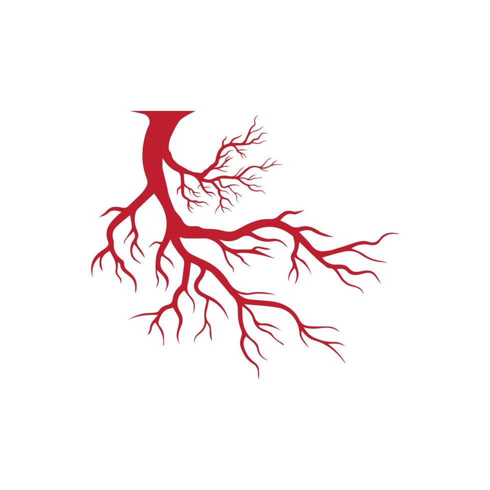 menselijke aderen, ontwerp van rode bloedvaten en slagaders vectorillustratie geïsoleerd vector