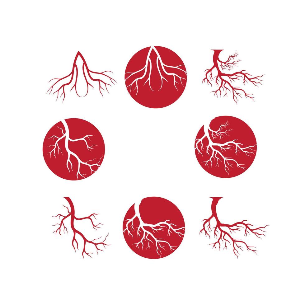 menselijke aderen, ontwerp van rode bloedvaten en slagaders vectorillustratie geïsoleerd vector