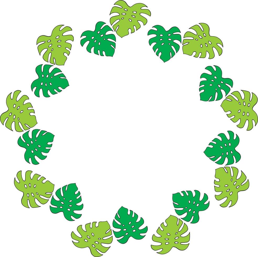 ronde frame van verticale helder groene monstera op witte achtergrond. geïsoleerd frame voor uw ontwerp. vector