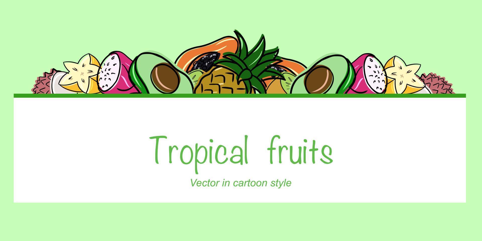 tropisch fruit, horizontale banner, kopieerruimte, vectorillustratie in cartoonstijl op een gekleurde achtergrond vector