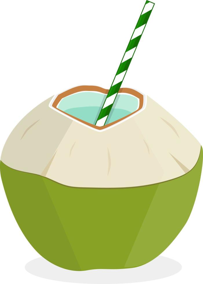 groene kokosdrank vector