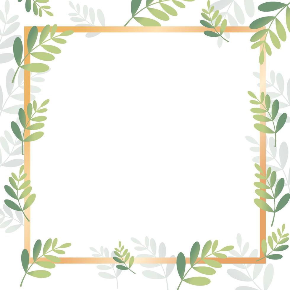 groene frame doos achtergrond met blad vector