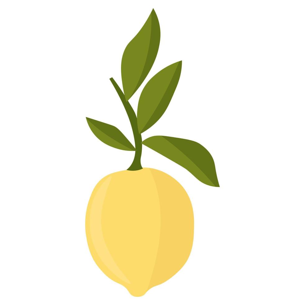 citroen met bladeren minimalisme. zure verse citroen fruit. vector