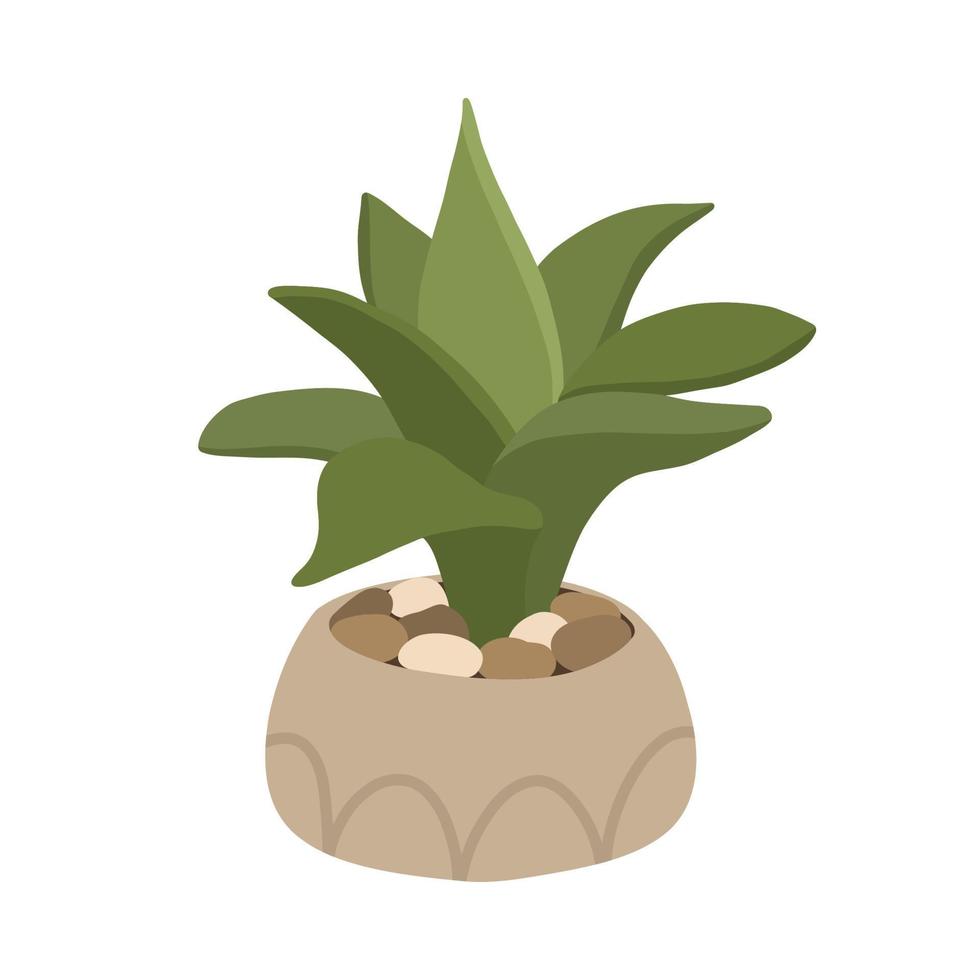 botanische plant succulente aloë in scandinavische pot in boho-stijl vector
