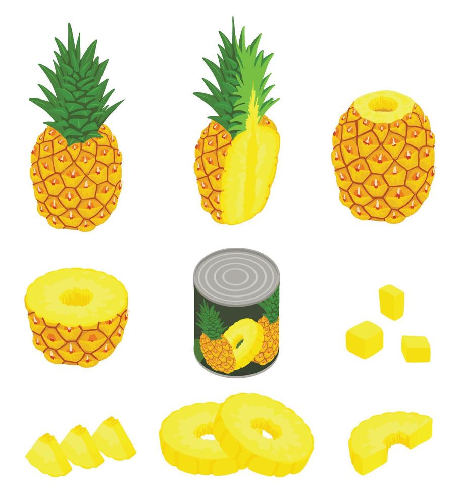 ananas iconen set, isometrische stijl vector