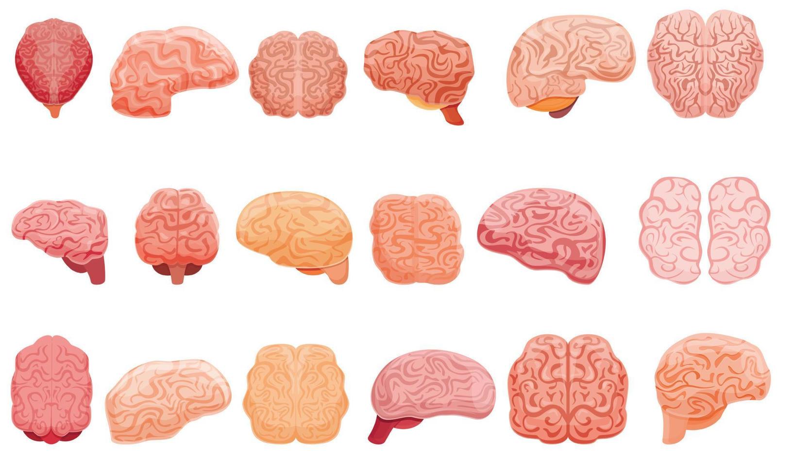menselijk brein iconen set, cartoon stijl vector