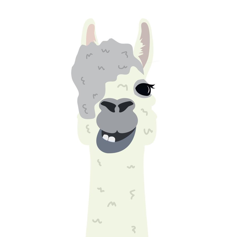 alpaca lama portret hoofd platte vector