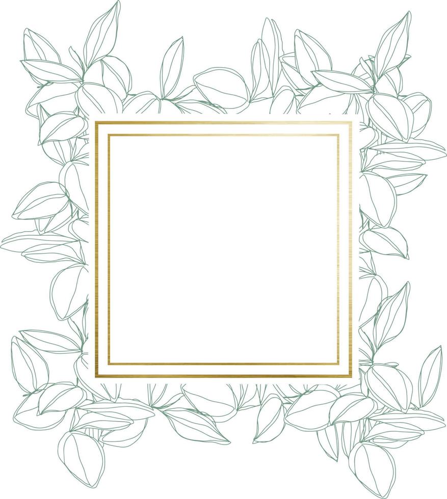 botanisch minimalisme lijntekeningen verlaat vector frame