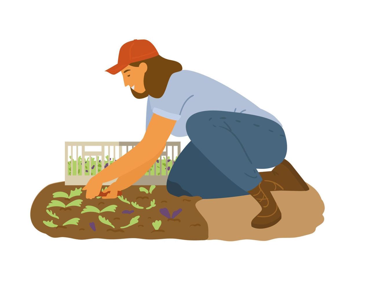 vrouw boer werken salade bladeren verzamelen. platte vectorillustratie. vector